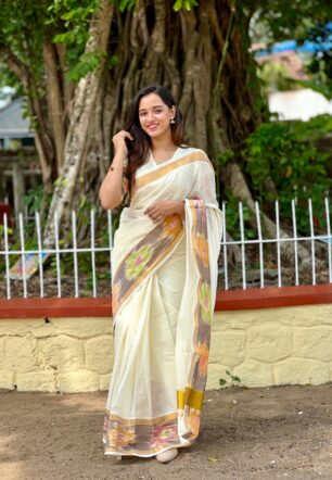 Pochampally border Kerala saree