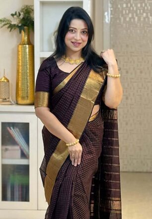Akira - Chocolate Brown Golden Checks saree
