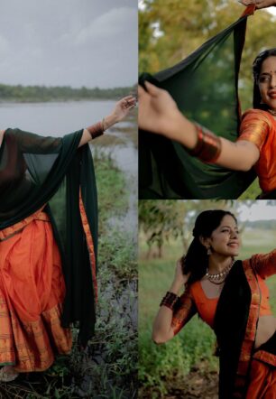 Cotton big elephant border davani