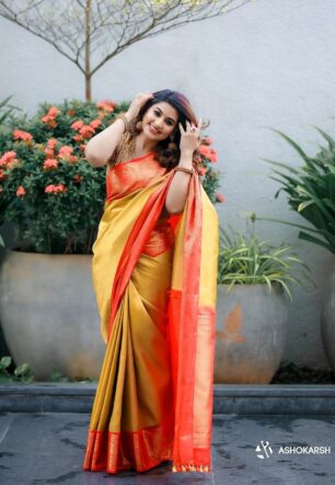 Actress Sneha Inspired Banarasi saree